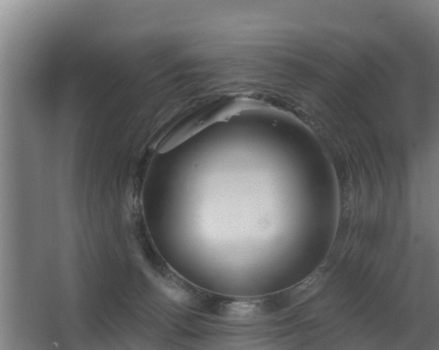 X0000068270176200604281601