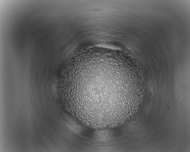 X0000068270181200604281601