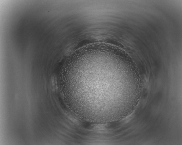 X0000068270182200604281601