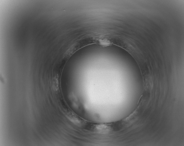 X0000068270183200604281601