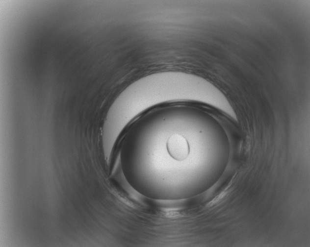 X0000068270184200604281601