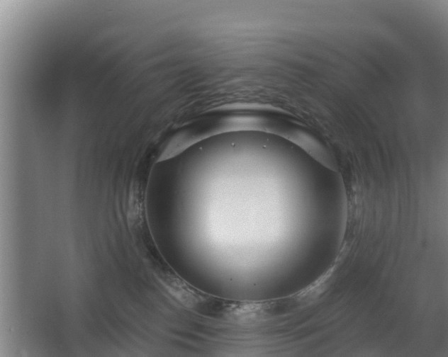 X0000068270186200604281601