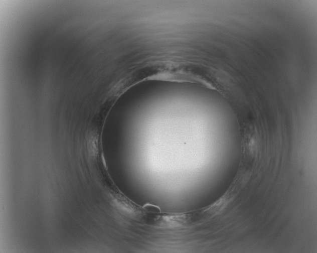 X0000068270188200604281601