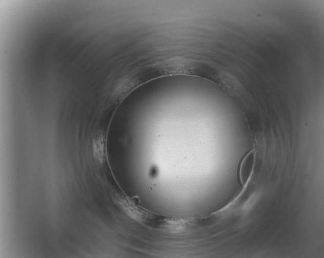 X0000068270190200604281601