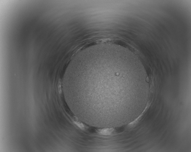 X0000068270191200604281601