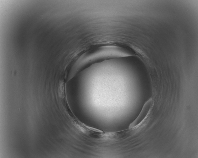 X0000068270192200604281601