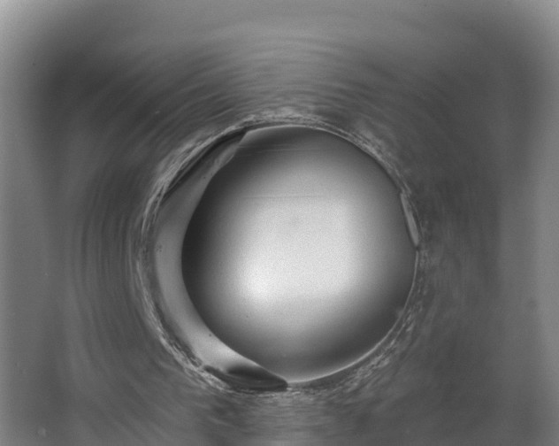 X0000068270193200604281600