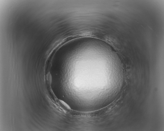 X0000068270194200604281600