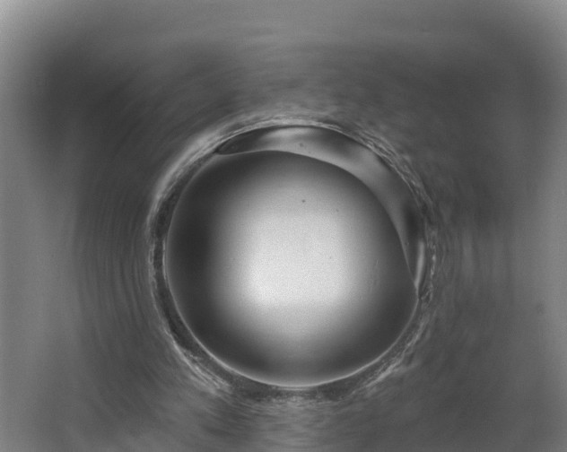 X0000068270197200604281600