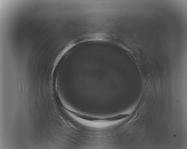 X0000068270200200604281600