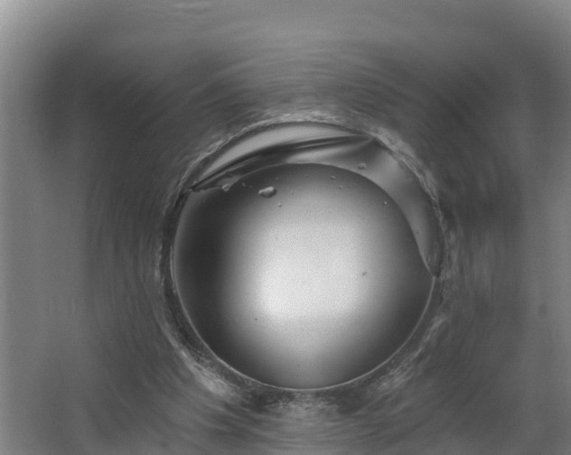 X0000068270201200604281600