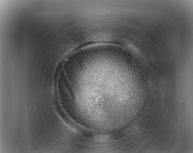 X0000068270202200604281600