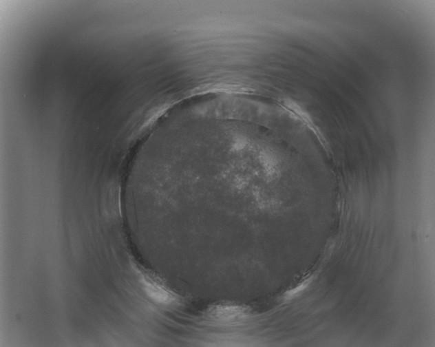 X0000068270205200604281600