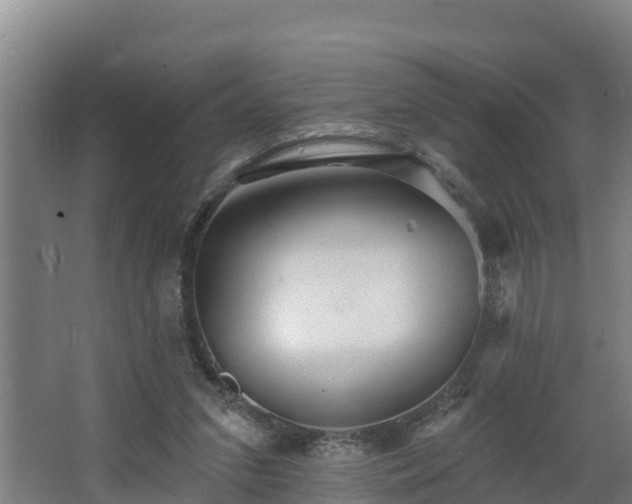 X0000068270207200604281600