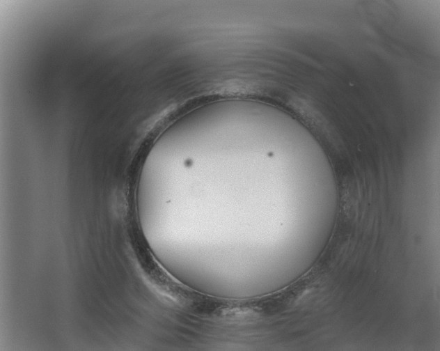 X0000068270208200604281600