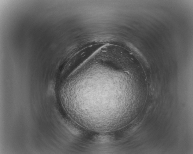 X0000068270209200604281600