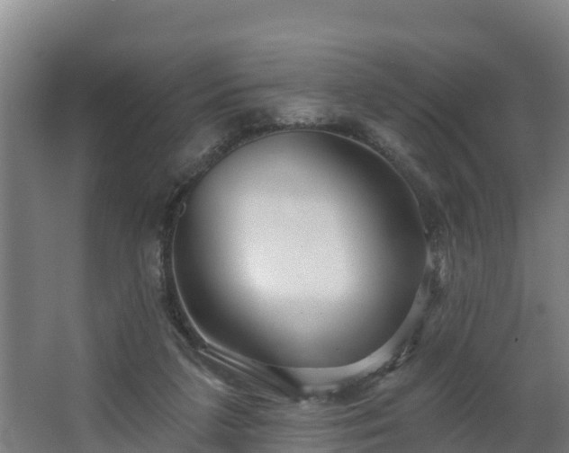 X0000068270211200604281600