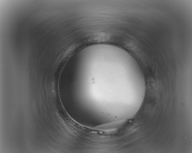 X0000068270212200604281600