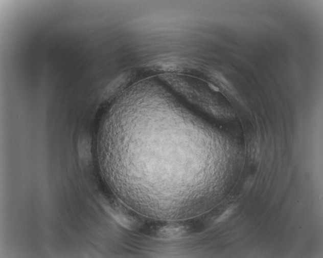 X0000068270213200604281600