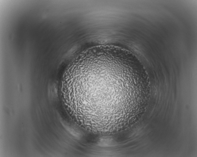 X0000068270214200604281600