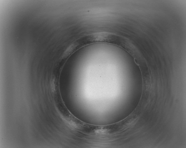 X0000068270216200604281600