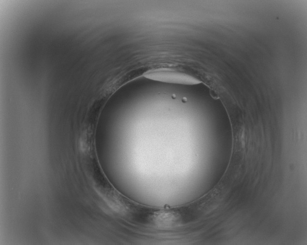 X0000068270218200604281600