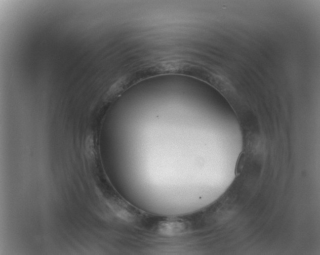 X0000068270220200604281600