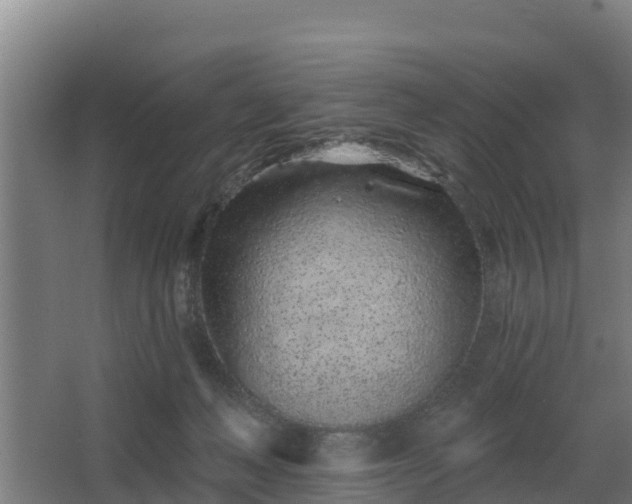 X0000068270222200604281600