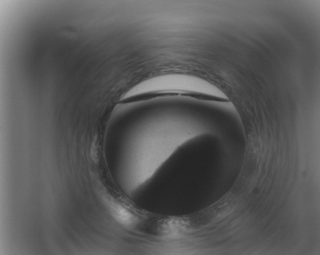 X0000068270223200604281600