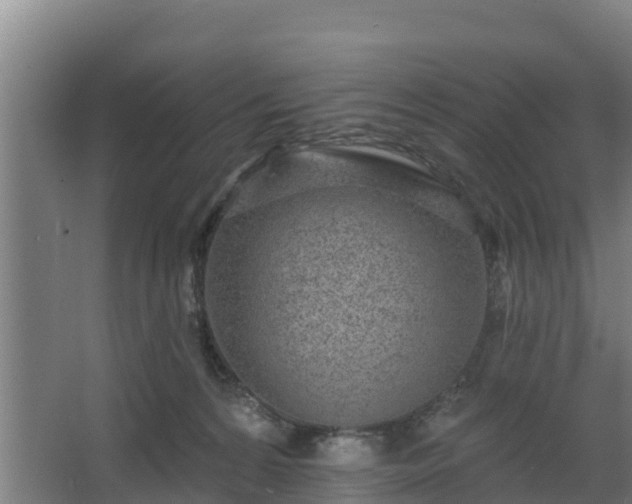 X0000068270224200604281600