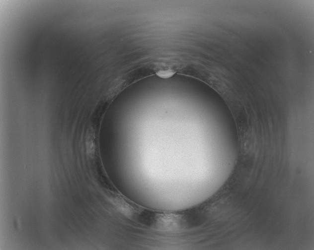 X0000068270226200604281600