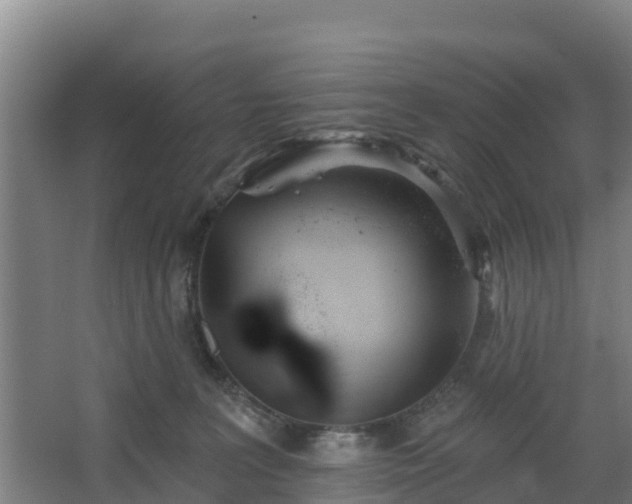 X0000068270227200604281600