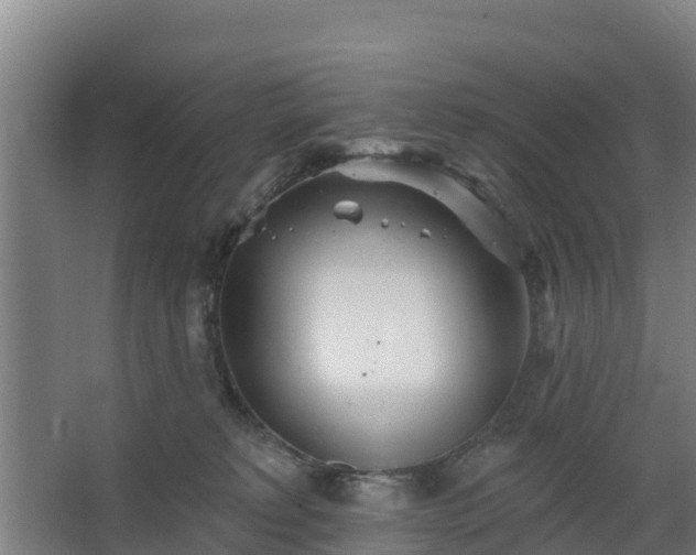 X0000068270229200604281600