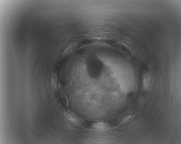 X0000068270231200604281600