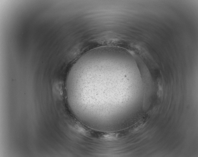 X0000068270232200604281600