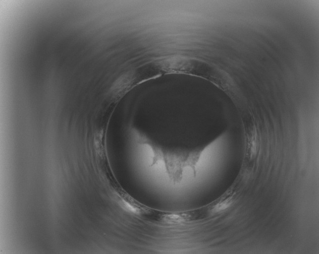 X0000068270239200604281559