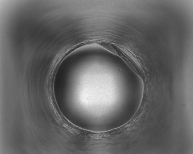 X0000068270241200604281559