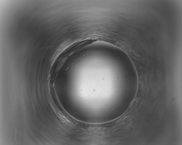 X0000068270242200604281559