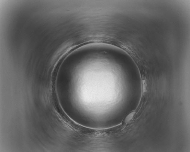 X0000068270243200604281559