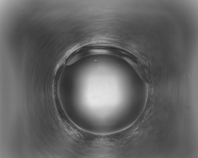 X0000068270244200604281559