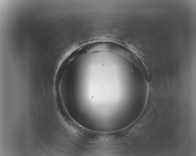 X0000068270248200604281559