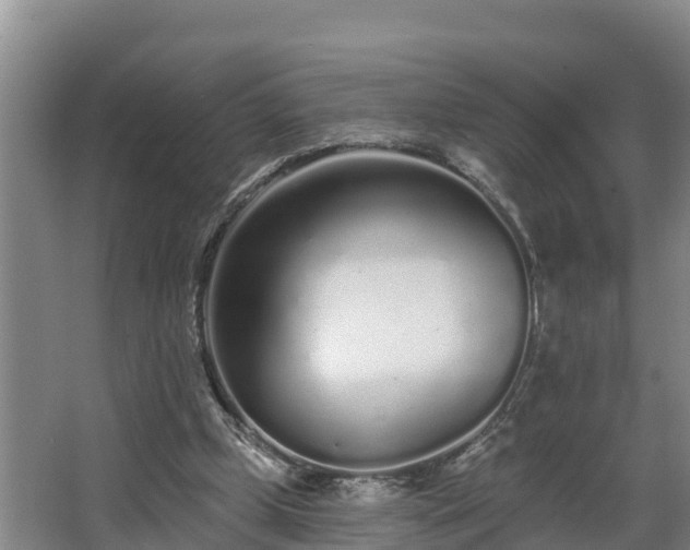 X0000068270249200604281559