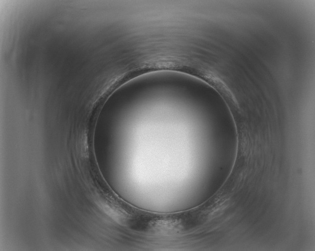 X0000068270251200604281559