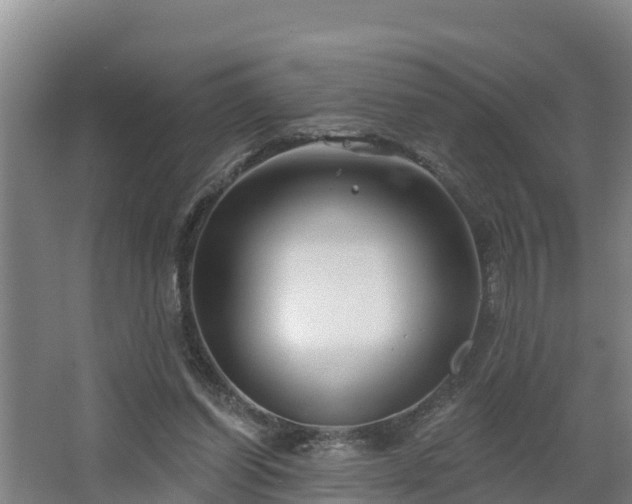 X0000068270254200604281559