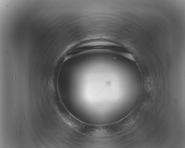 X0000068270256200604281559