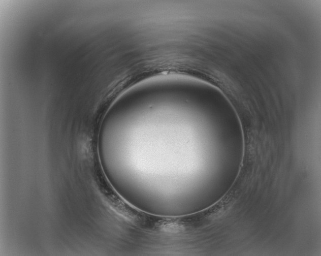 X0000068270258200604281559