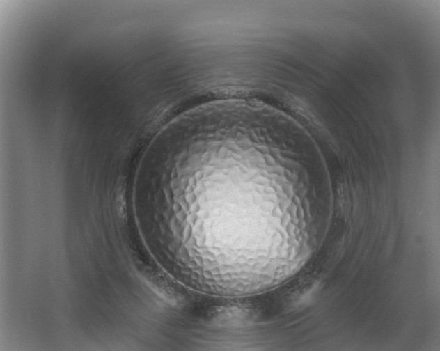 X0000068270259200604281559