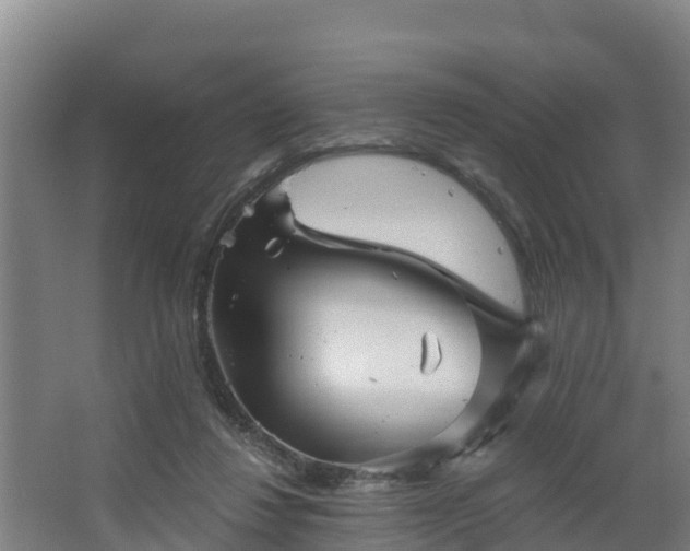 X0000068270260200604281559