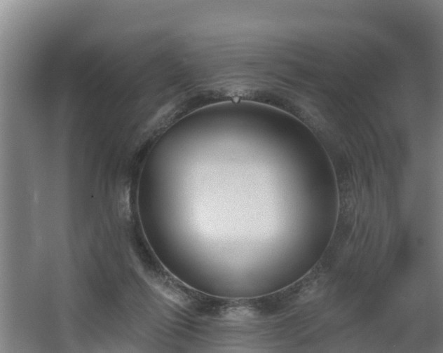 X0000068270262200604281559