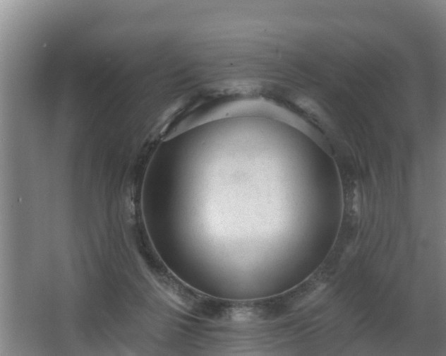 X0000068270264200604281559